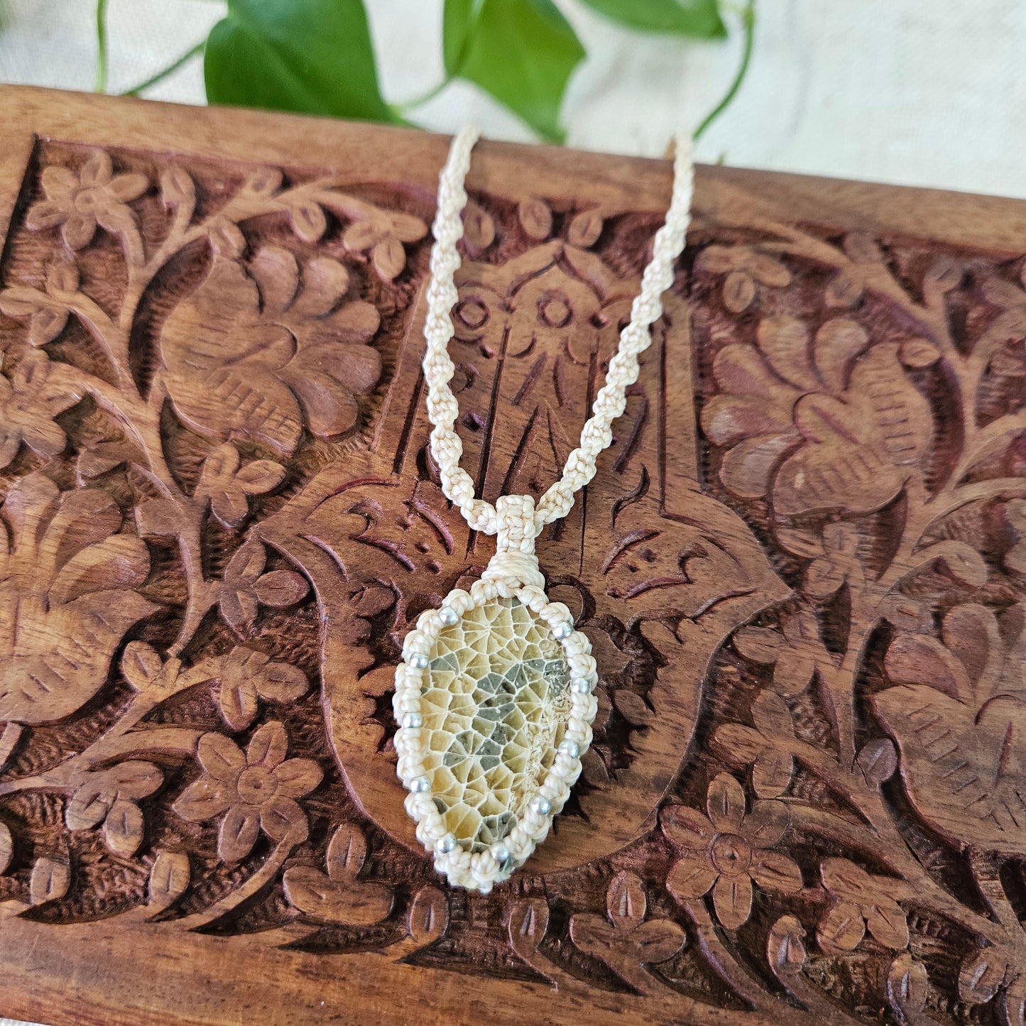 Ivy Teardrop Pendant Necklace - Fossil Coral