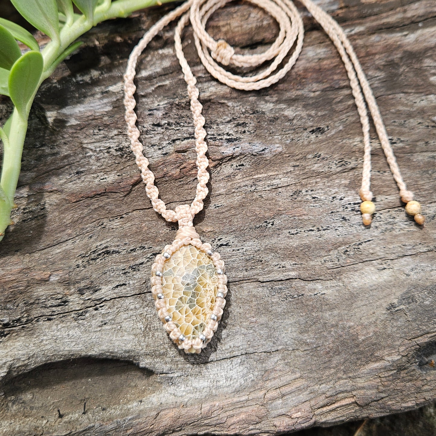Ivy Teardrop Pendant Necklace - Fossil Coral